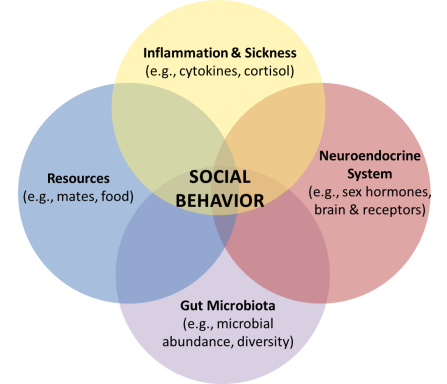 Research Page Venn Diagram (from Kristyn)