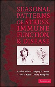 Seasonal Patterns Book 2